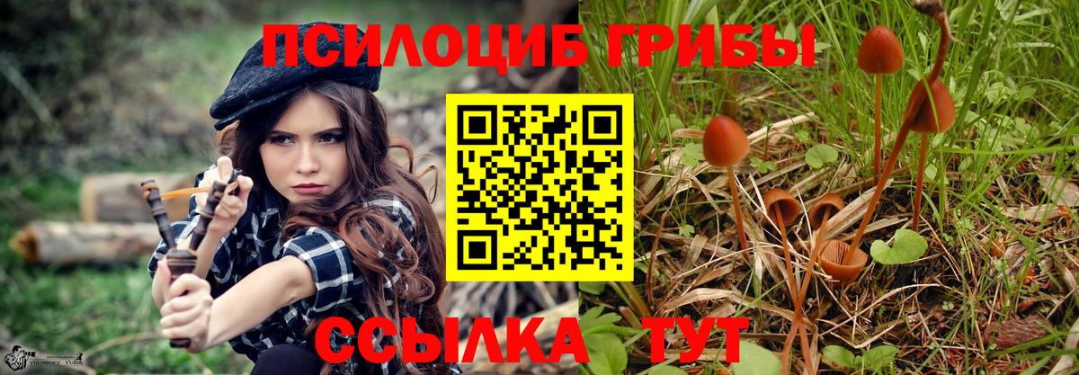 Галлюциногенные грибы MAGIC MUSHROOMS Карачаевск