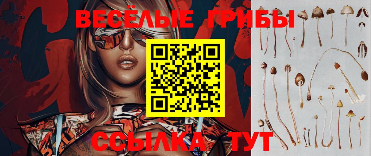 Галлюциногенные грибы мухоморы  где купить   Карачаевск  Вход с VPN 